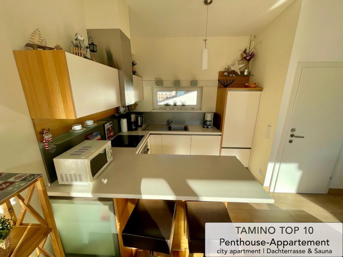 Penthouse Tamino 10 Apartamento Schladming